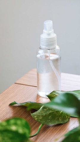 DIY Effective Anti-mosquito Spray Recipe | Bottega Zero Waste