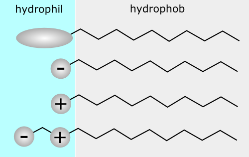 Hydrophil | How to Choose a Shampoo Bar | Bottega Zero Waste