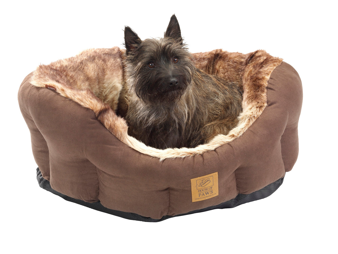 house of paws dog bed