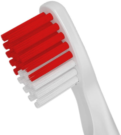 Bristles