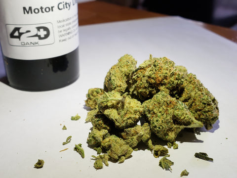 Motor City Diesel Sativa 420 Dank Detroit Mi