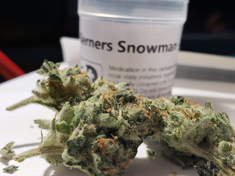 Berner's Snowman Strain