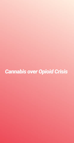 Marijuana over Opioids