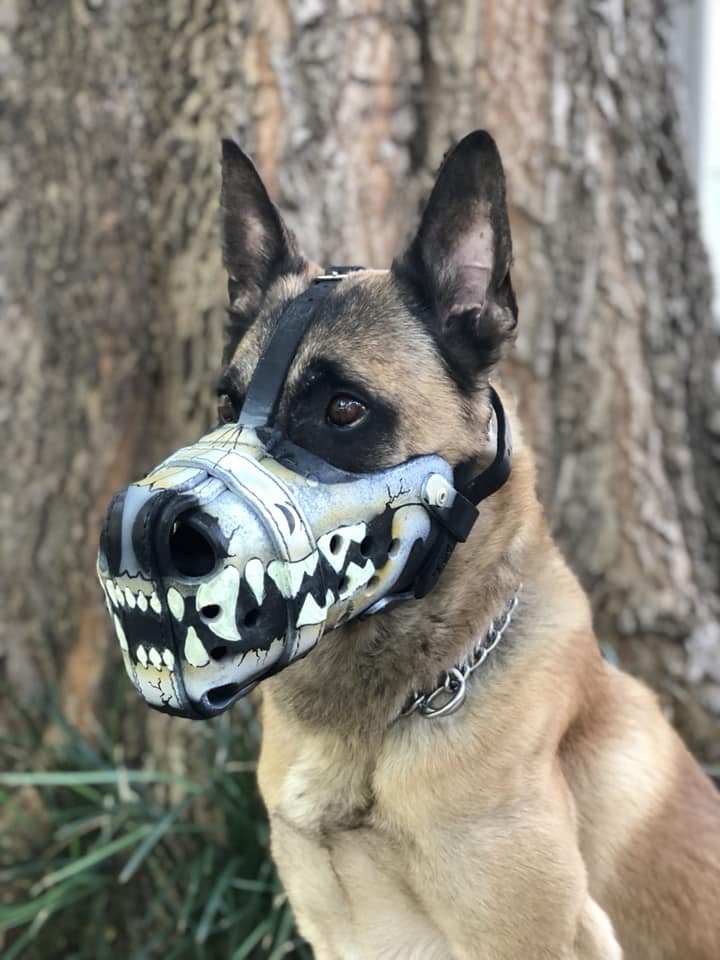 Custom Painted Muzzle – Working Dog Dry 
