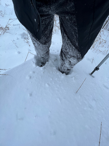 A person standing in the snow