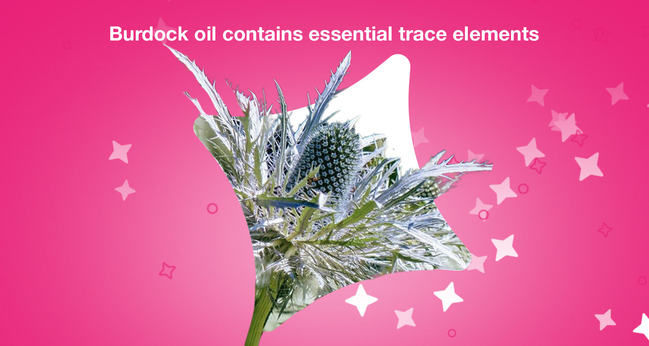 Burdock oil contains essential trace elements