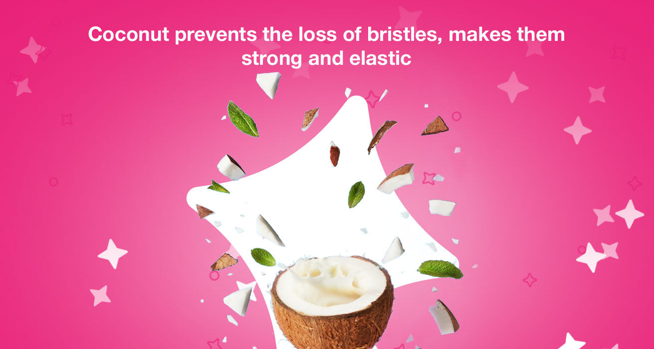 Coconut prevents the loss of bristles, makes them strong and elastic