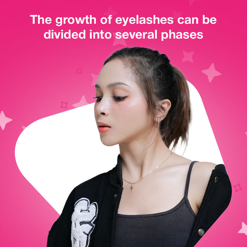 The growth of eyelashes can be divided into several phases