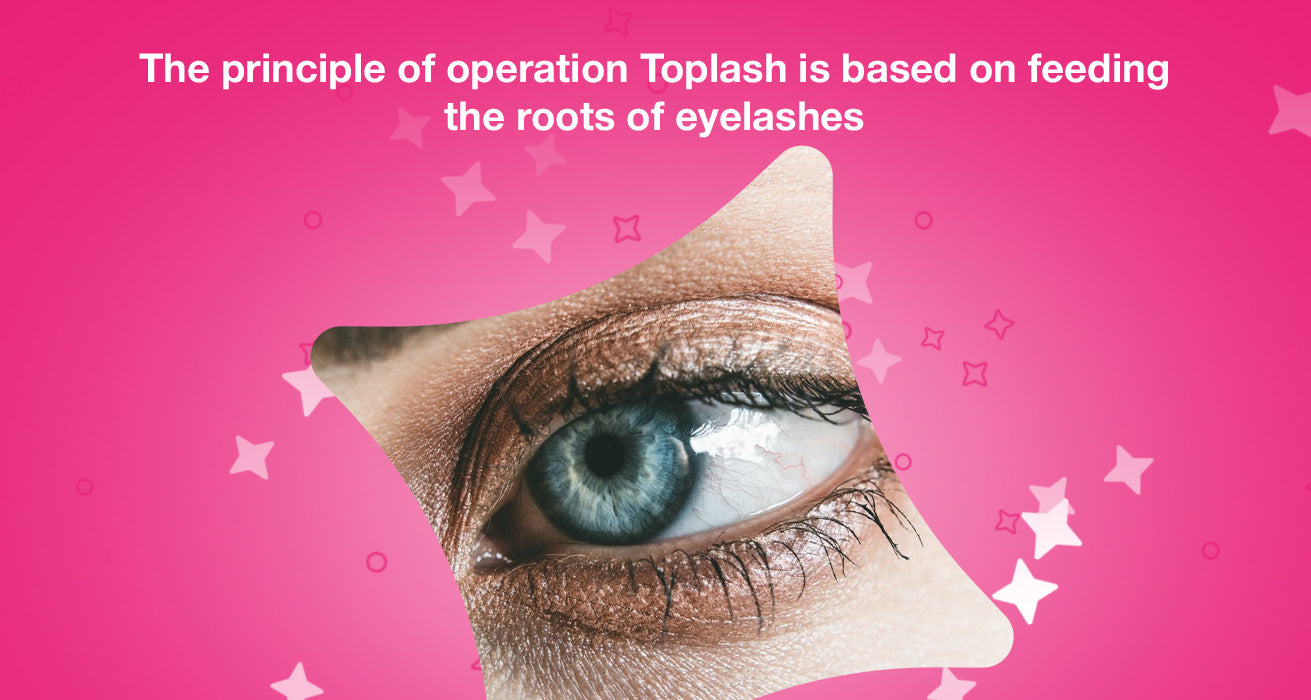 The principle of operation Toplash is based on feeding the roots of eyelashes