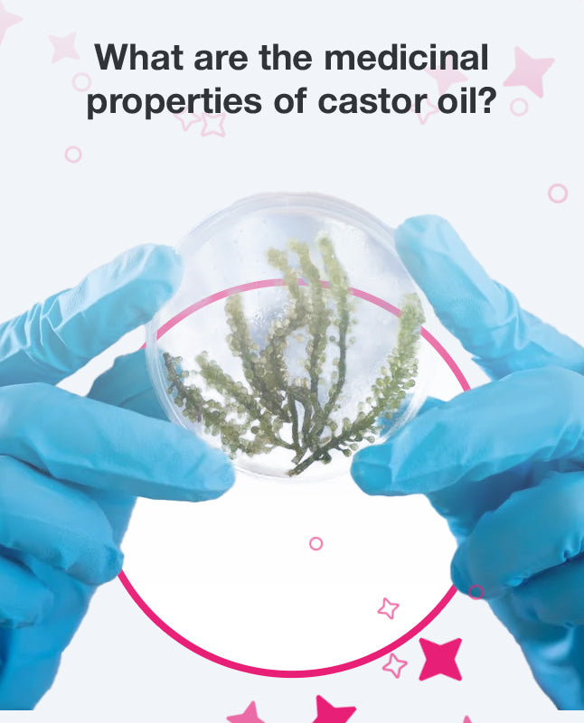What are the medicinal properties of castor oil?