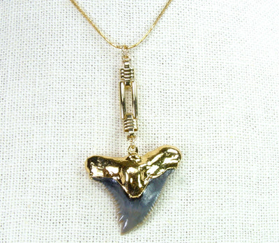 The Megalodon Shark Tooth Pendant 68200: best price for jewelry