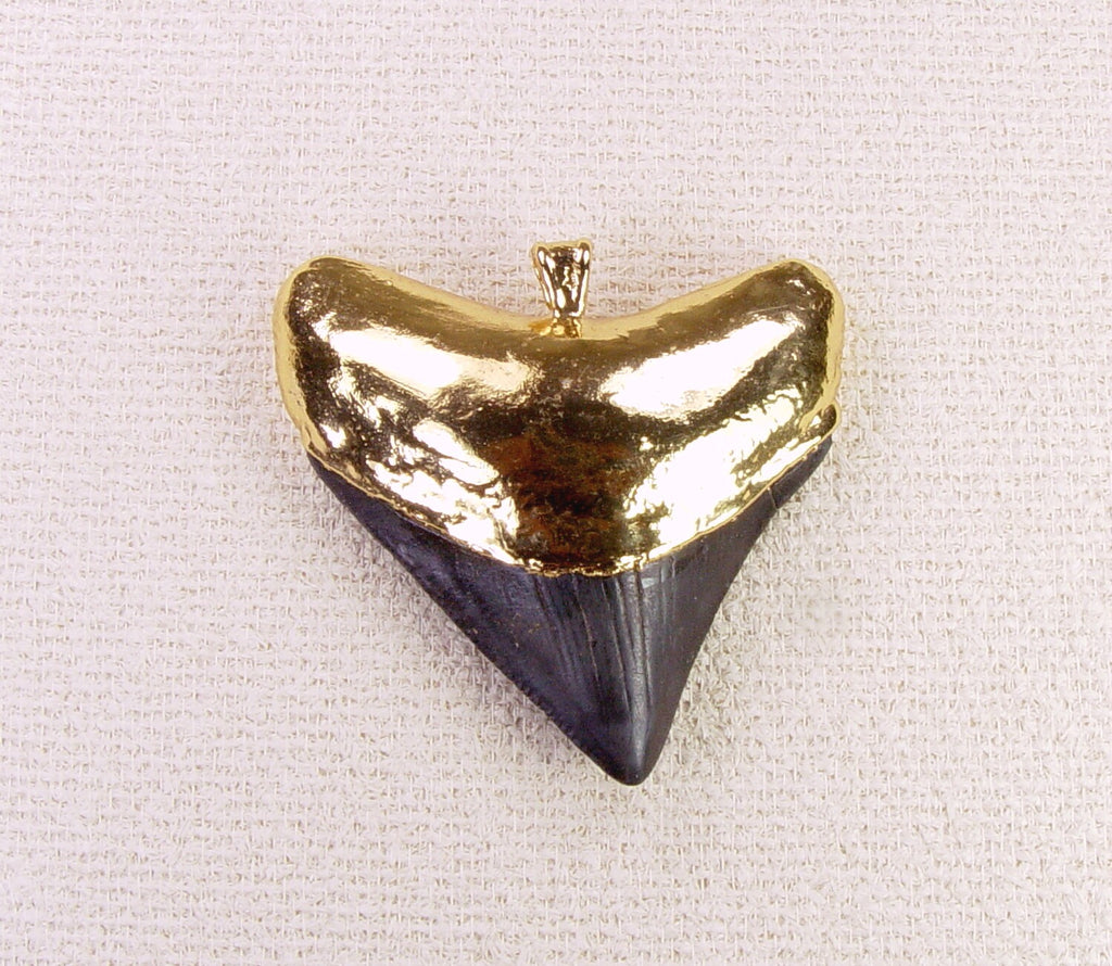 megalodon shark tooth necklace