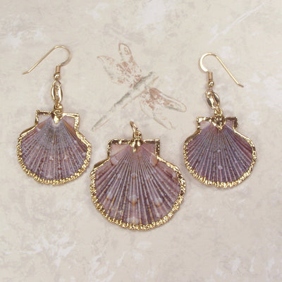 Alamea Sunrise Scallop Shell Cz Fishhook Earrings, Sterling Silver | Island  Sun Jewelry Beach Haven NJ