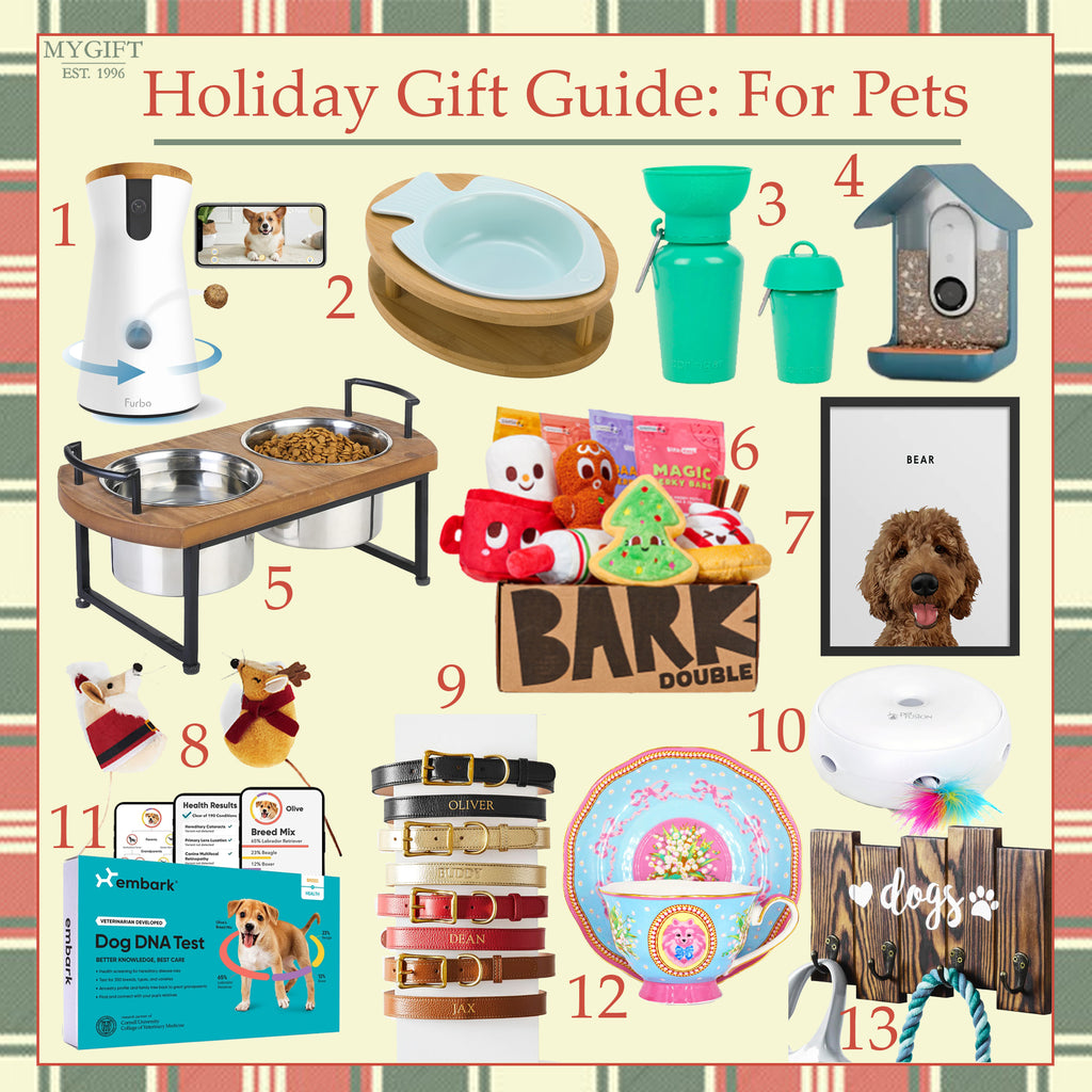 holiday gift guide for pets with a collage of various gifts for pets