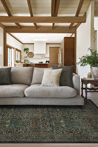 beautiful living room with couch and accent rug with link to product