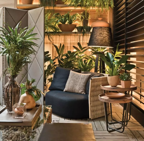 Biophilic Design in home interior with link to more ideas