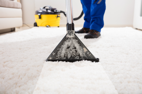 Carpet Cleaning