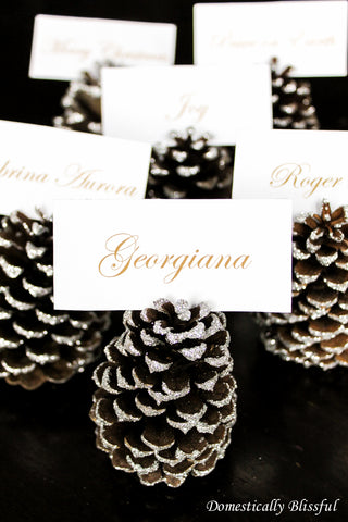 Pinecone DIY Placecard Holder Idea