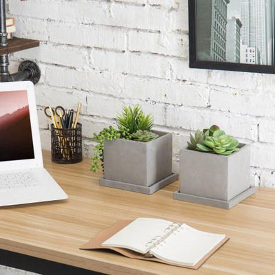 NOONA Succulent Pot & Tray Desk Planters Desk Accessories Succulent  Accessories Modern Desk Back to School 