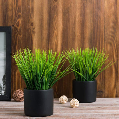 Artificial Grass Plants in Square Clear Glass Pots with Faux Pebbles and Soil, Potted Greenery, Set of 2