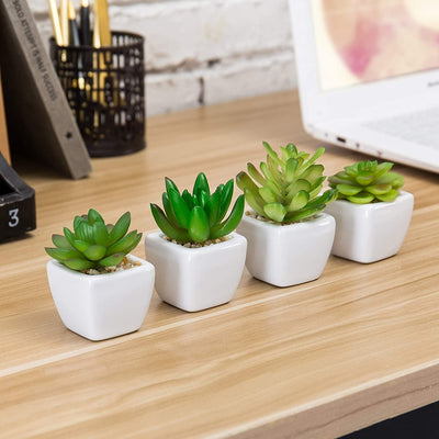 Mini Artificial Succulent Plants in Geometric Plant Pots – MyGift