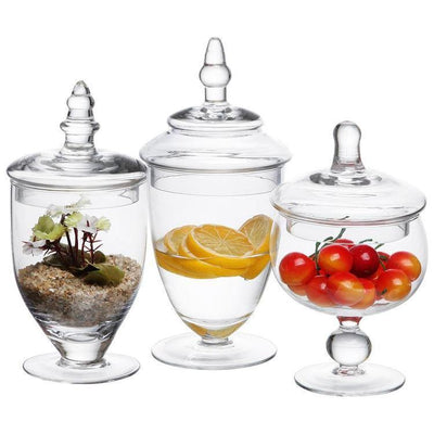 Clear Glass Apothecary Jar Canisters with Lids, Set of 3 – MyGift