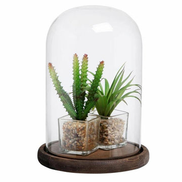 Clear Glass Cloche Bell Jar Display Case – MyGift