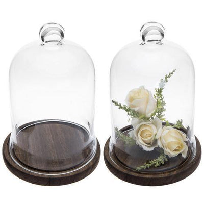 https://cdn.shopify.com/s/files/1/0023/0984/9197/products/clear-glass-cloche-display-with-brown-wood-base-set-of-2-2_400x400.jpg?v=1593155294