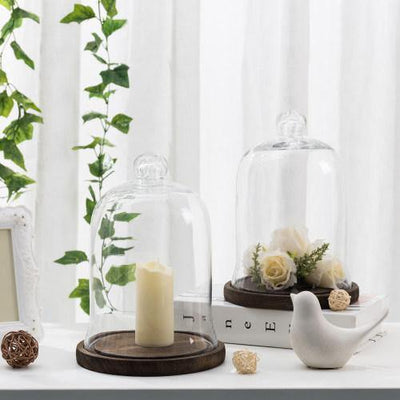 https://cdn.shopify.com/s/files/1/0023/0984/9197/products/clear-glass-cloche-display-with-brown-wood-base-set-of-2_400x400.jpg?v=1593155290