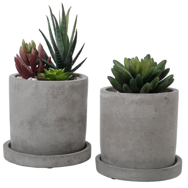 Shop Gray Cement Planter Pots with Saucers, Set of 2 – MyGift