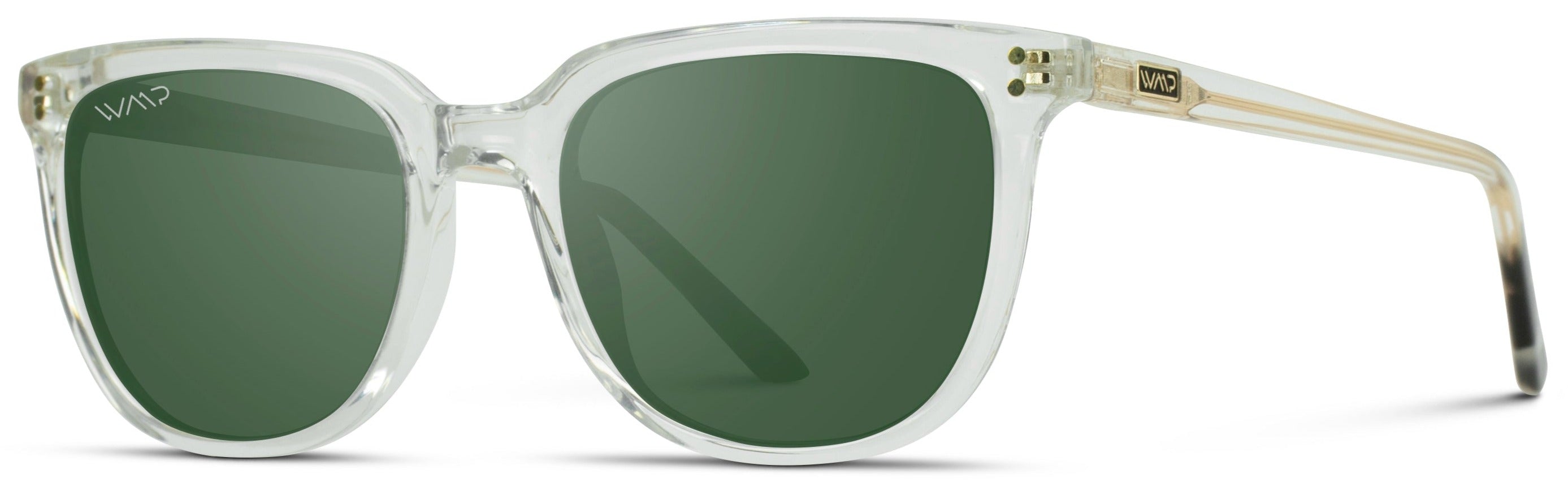 1007 Polarized