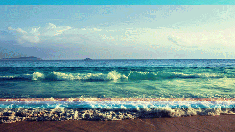 Moving Beach Background For Zoom Gif : Caribbean Zoom Virtual