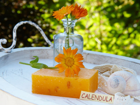 calendula oil