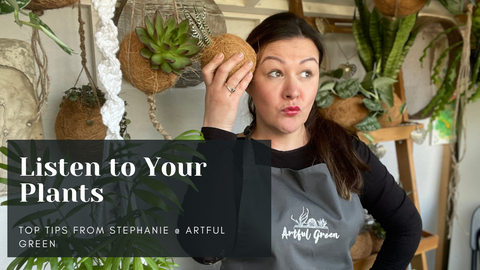 Listen to your Plants. How not to kill plants. Stephanie from Artful Green will show you how to save money and keep your plants alive.