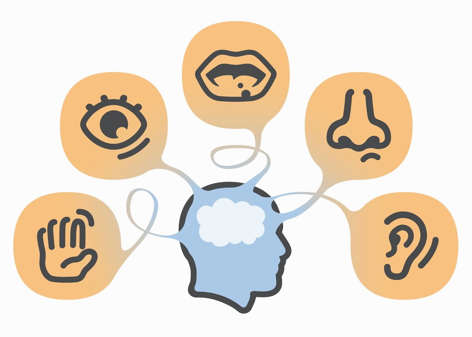 clip art of human head with icons of the 5 senses