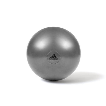 Habitat Geweldig overhemd Reebok Womens Training Stability Exercise Ball - 65cm – Workout For Less