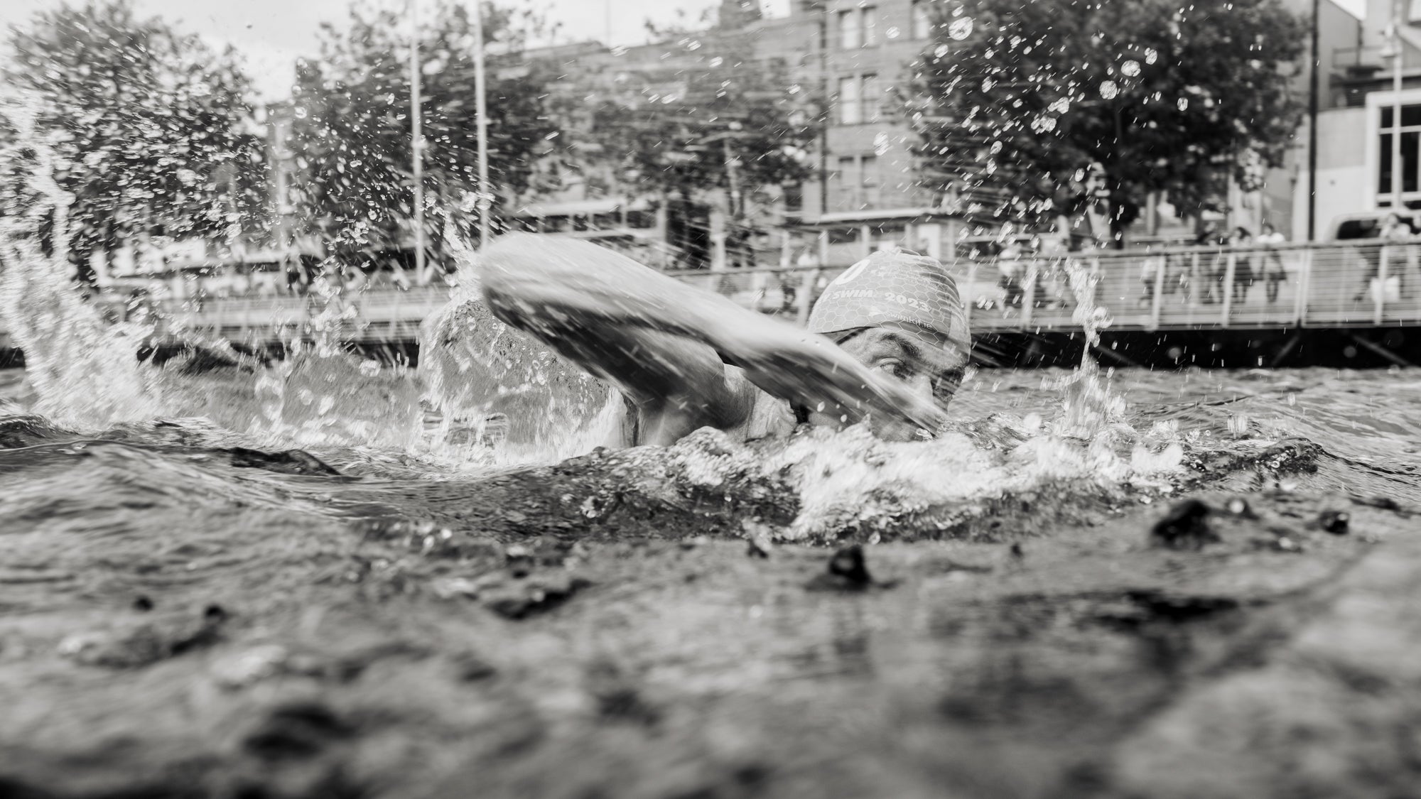 The Liffey Swim