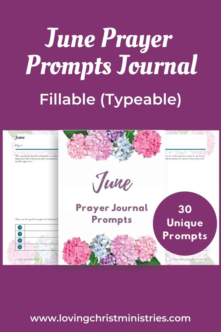 June Prayer Journal Prompts (Fillable) – Loving Christ Ministries