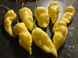 Bhut Jolokia White JW (Pepper Seeds)