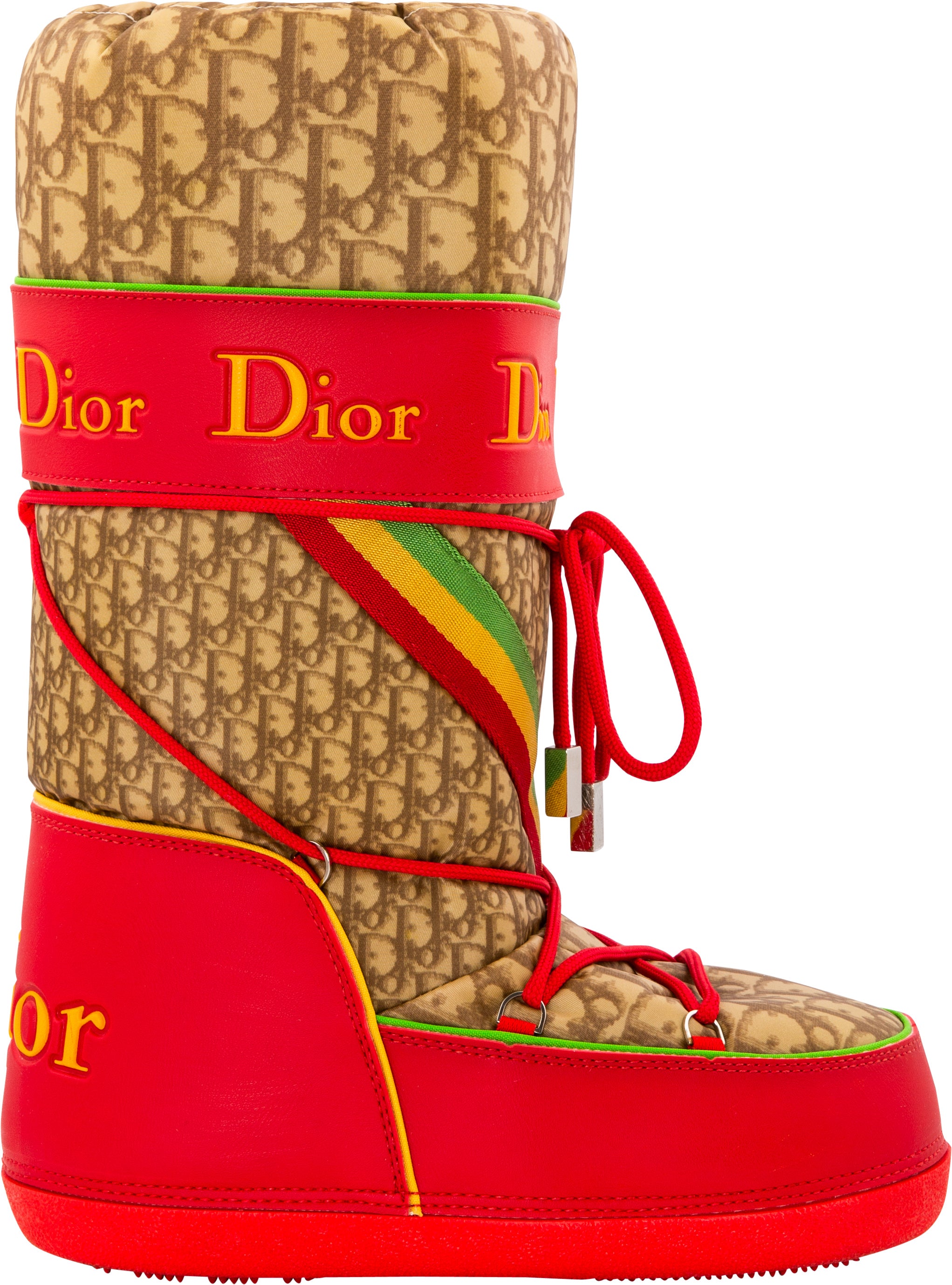 dior rasta collection year