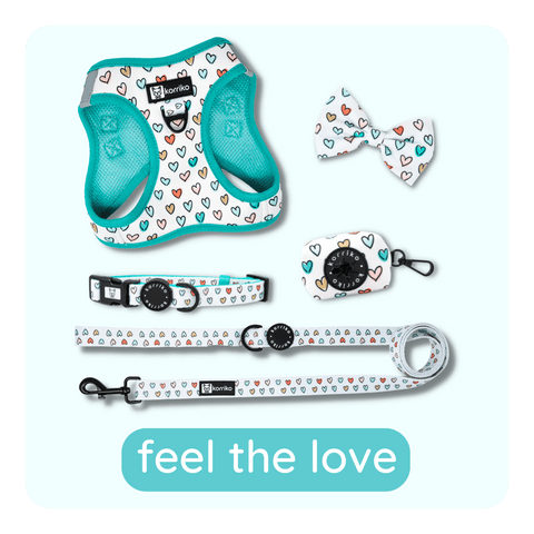 feel the love collection