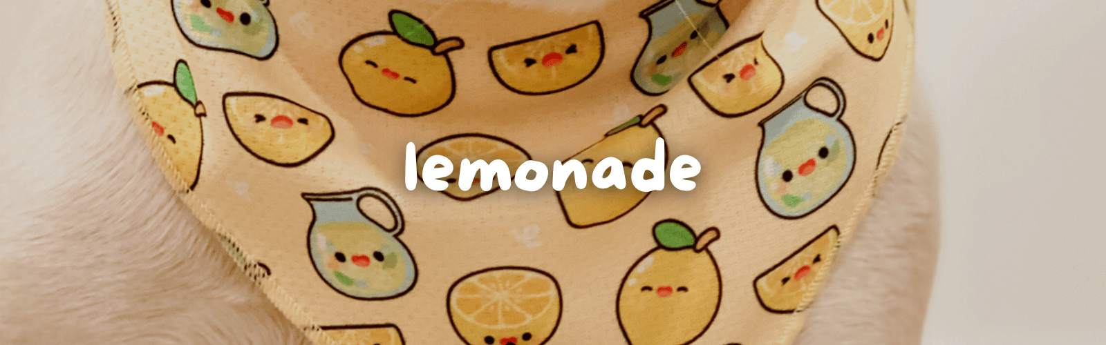 lemonade collection banner