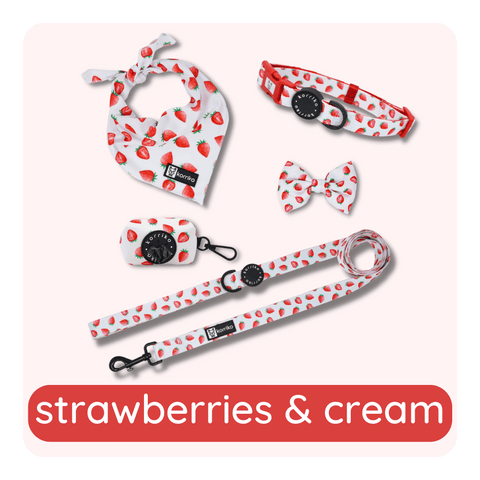 strawberries & cream collection