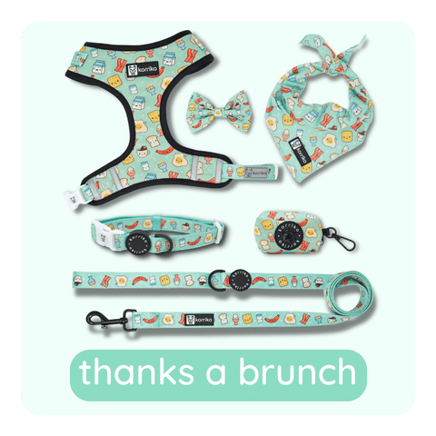 thanks a brunch collection