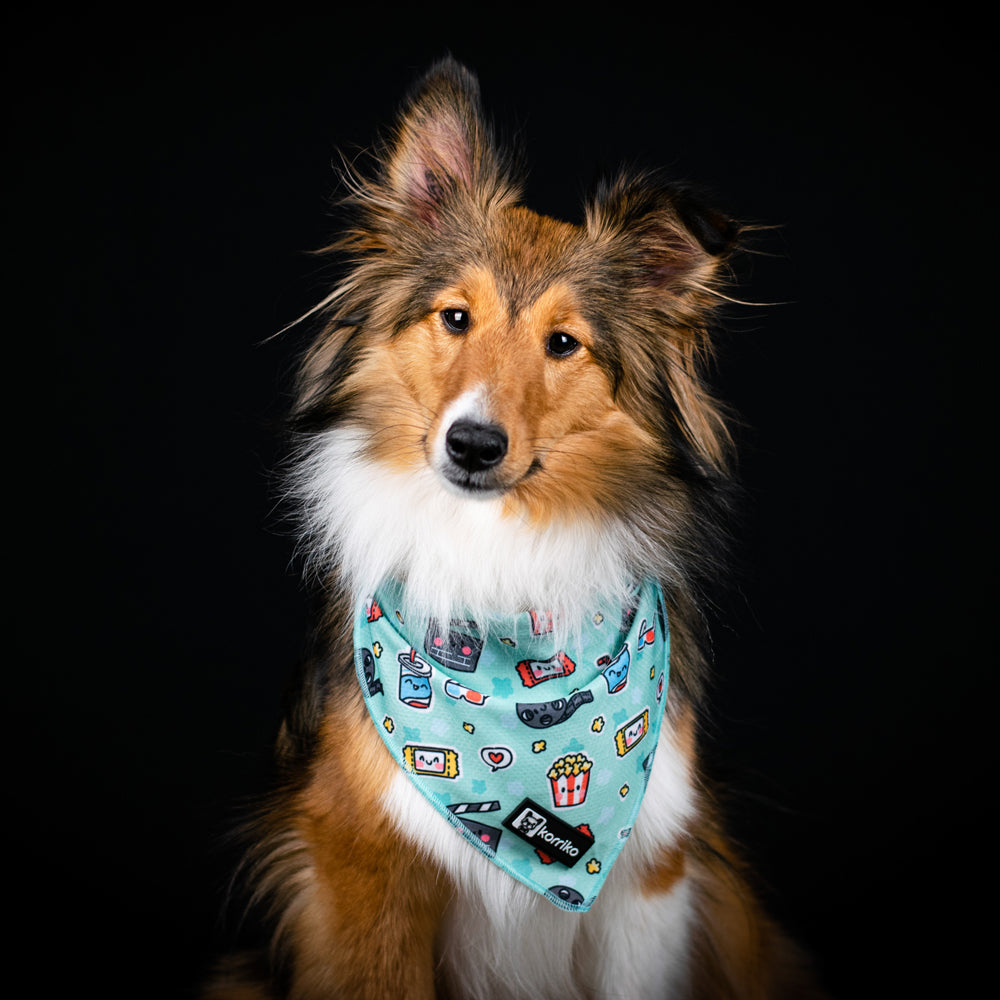 Dogior Luxury Cooling Dog Bandana