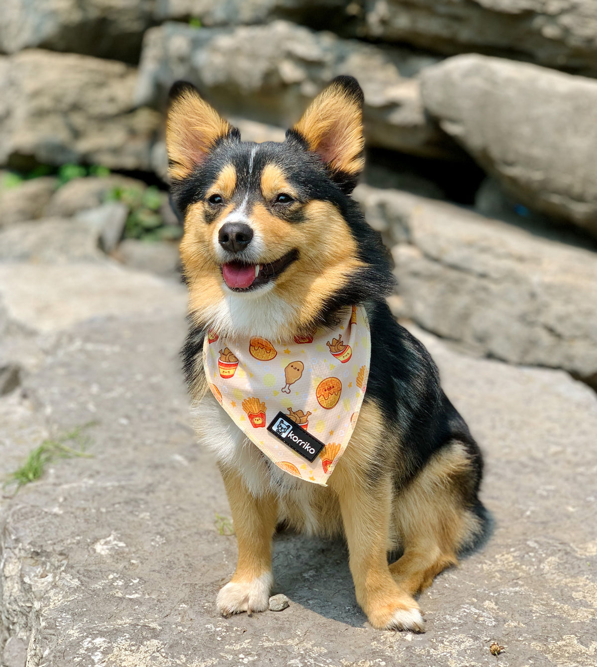 how to make a cooling bandana for dogs