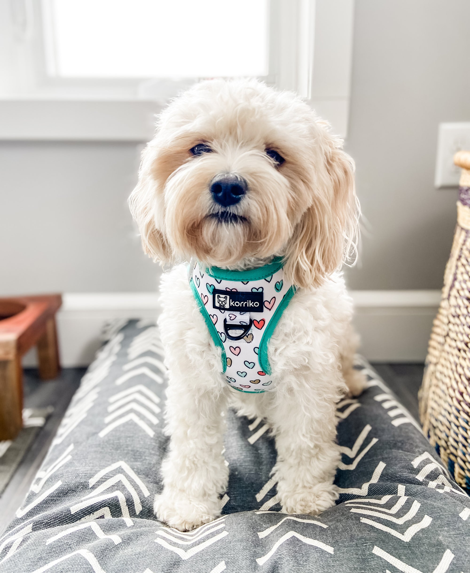 Reflective + Comfort Adjustable Dog Harness - Lilac - XL - Boots & Barkley™