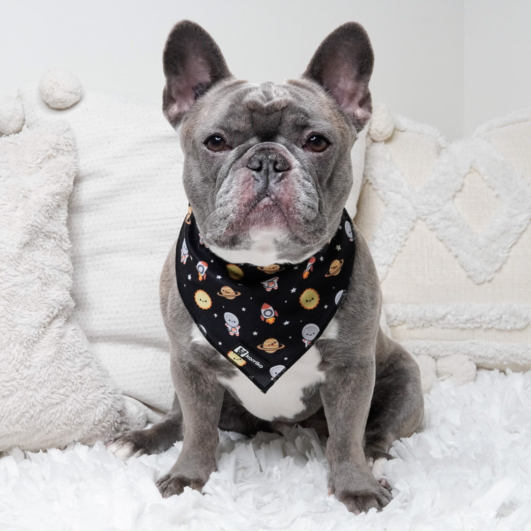 Dogior Luxury Cooling Dog Bandana