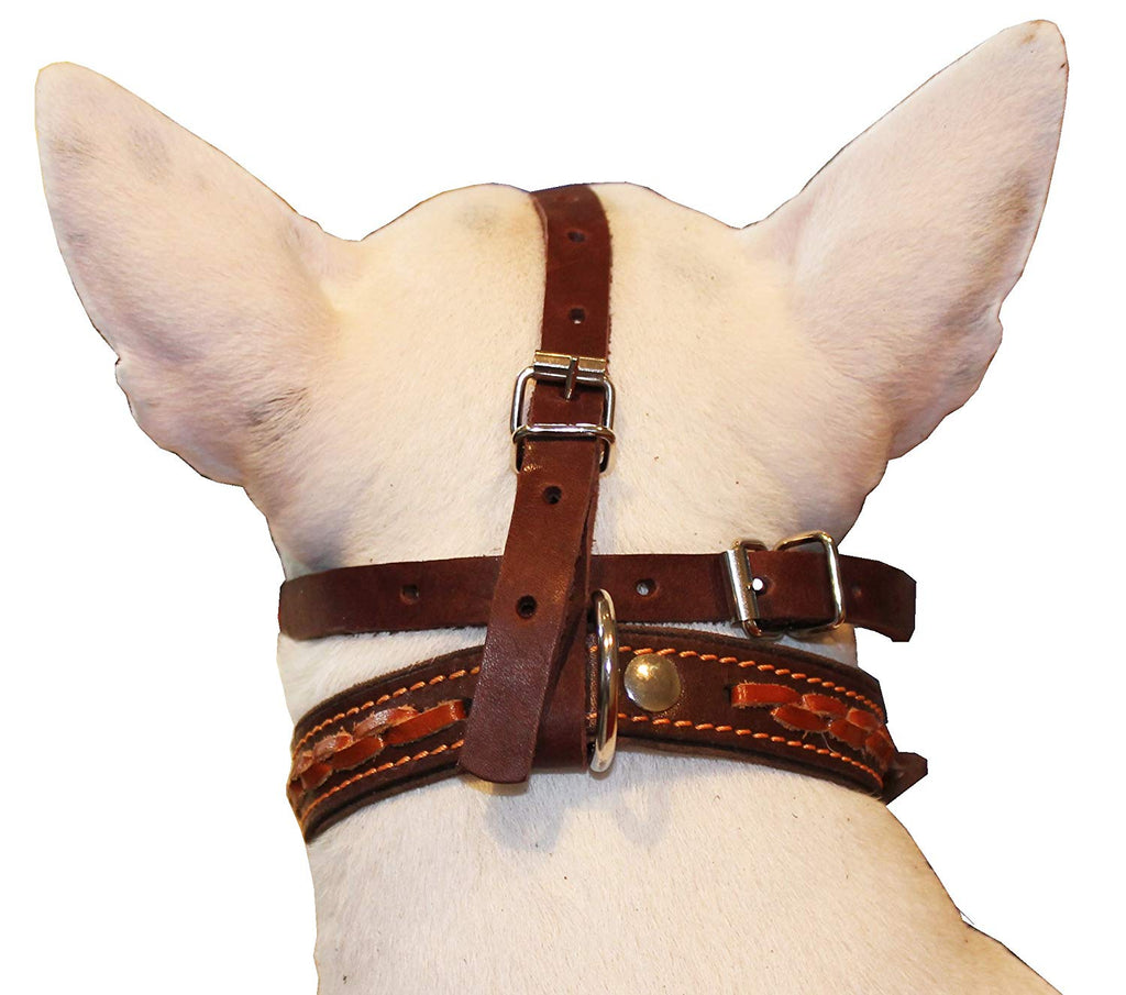 basket muzzle for dogs