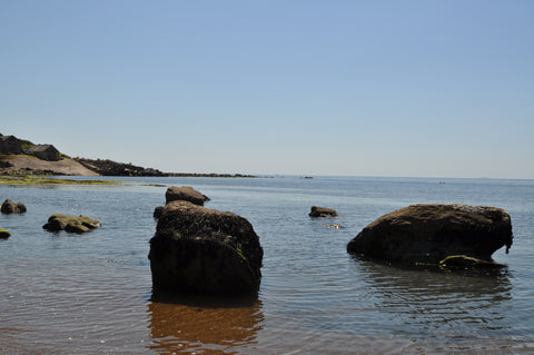 Looking out to the lifeboat slipway